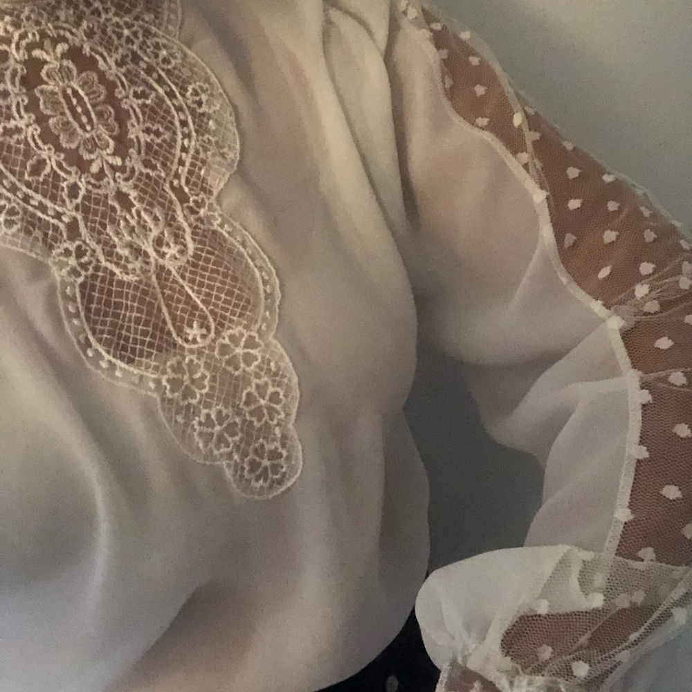Authentic Vintage Beautiful Lace mesh blouse, high neck, swiss dot insets, Doen - Picture 4 of 15